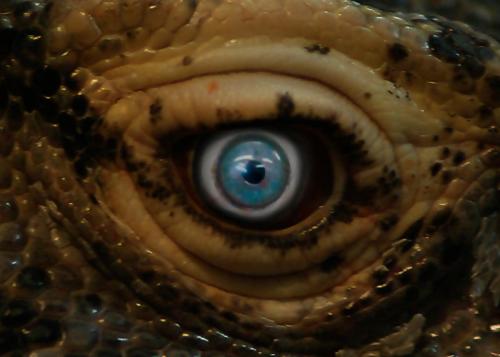 dragoneye blur da